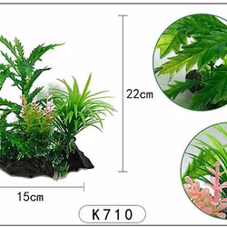 Plastväxt Pinnatifida 20 cm