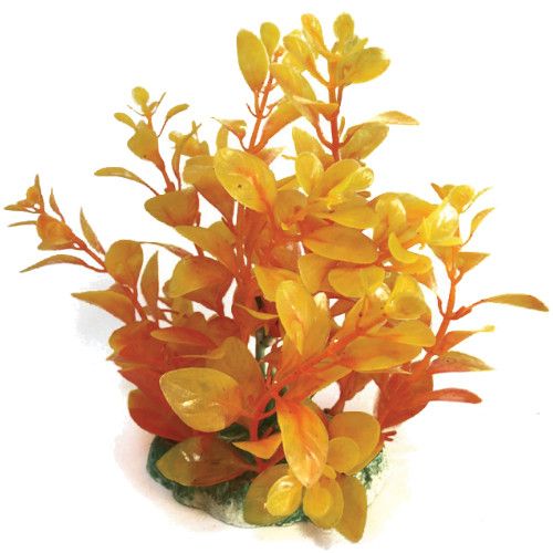 Plastväxt Bacopa orange 13 cm