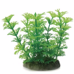 Plastväxt Cabomba grön 10 cm