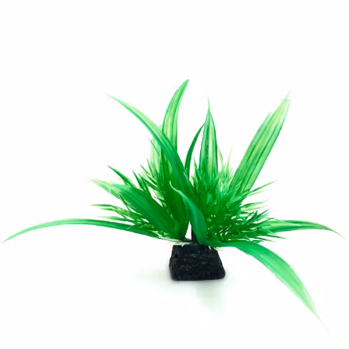 Plastväxt Helanthium 10 cm