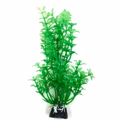 Plastväxt Bacopa 18 cm