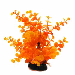 Plastväxt Limnobium orange 19 cm