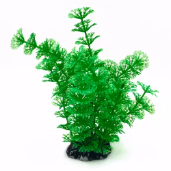 Plastväxt Cabomba grön 19 cm