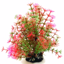 Plastväxt Hottonia rosa / gröna detaljer 19 cm