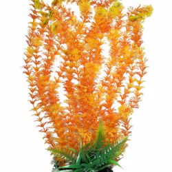 Plastväxt Cabomba orange med grön topp 43 cm