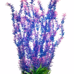 Plastväxt Rotala bonsai blå/lila med rosa detaljer 55 cm