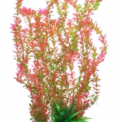 Plastväxt Rotala bonsai grön / röd 55 cm