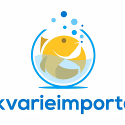 Placidochromis blue otter