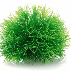 Mossboll Grön Stor - Taxiphyllum Alternans