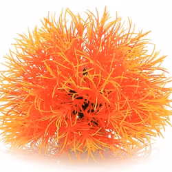Mossboll Orange Stor - Taxiphyllum Alternans