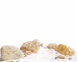 Sten Megakit - White Adder boulder