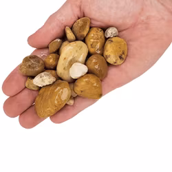 Akvariegrus - Bumblebee 3-40mm