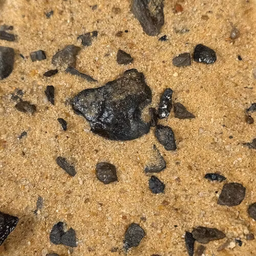Elderly Riverbed