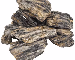 Nano sten - Grey Fossil wood rock