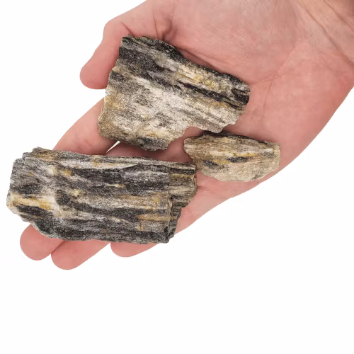 Nano sten - Grey Fossil wood rock