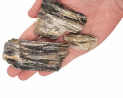 Nano sten - Grey Fossil wood rock