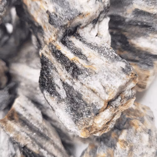 Nano sten - Grey Fossil wood rock