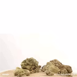 Sten kit - Web rock
