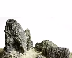 Sten Megakit - Grey fossil wood rock
