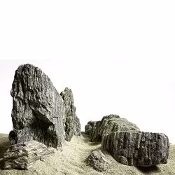 Sten Megakit - Grey fossil wood rock