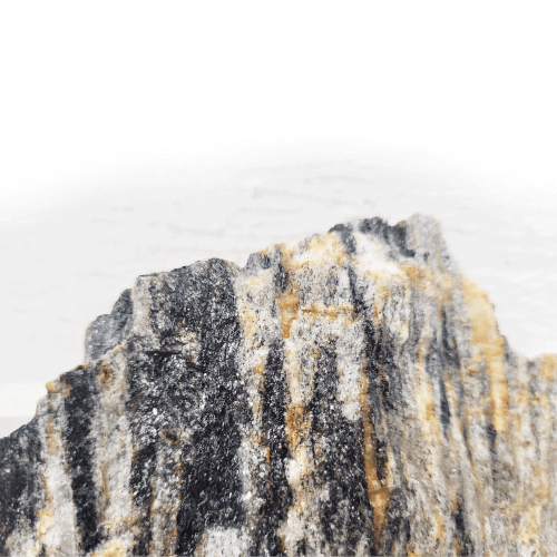 Sten Megakit - Grey fossil wood rock