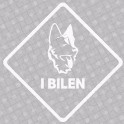 Bildekal - Schäfer i bilen - svart eller vit