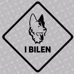 Bildekal - Schäfer i bilen - svart eller vit