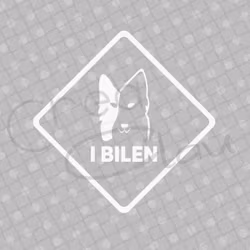 Bildekal - Border collie i bilen - svart eller vit