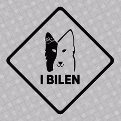 Bildekal - Border collie i bilen - svart eller vit