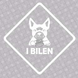 Bildekal - Boston Terrier i bilen - svart eller vit