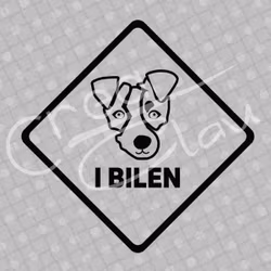 Bildekal - Jack Russel i bilen - svart eller vit