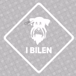 Bildekal - Schnauzer bilen - svart eller vit