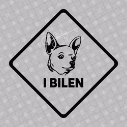 Bildekal - Chihuahua i bilen - svart eller vit