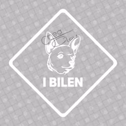Bildekal - Chihuahua i bilen - svart eller vit