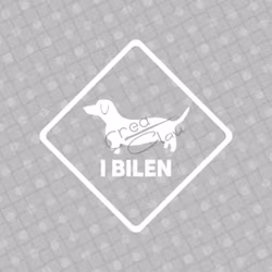 Bildekal - Tax i bilen - svart eller vit