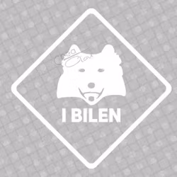 Bildekal - Samoyed i bilen - vit