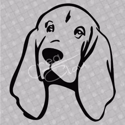 Dekal - Basset Hound huvud- svart eller vit