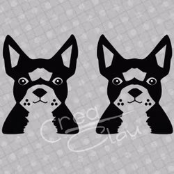Dekal - Boston Terrier -  svart eller vit - 2-pack