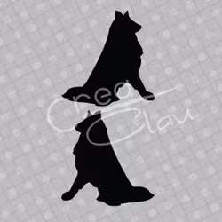 Dekal - Belgisk Vallhund Groenendael -  svart eller vit - 2-pack