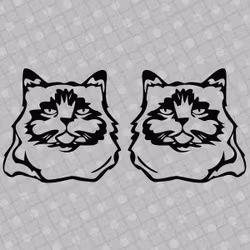 Dekal - Katt 02 -  svart eller vit - 2-pack