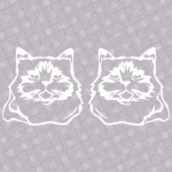 Dekal - Katt 02 -  svart eller vit - 2-pack