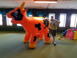 Games2U Mjölka Kon Begagnad