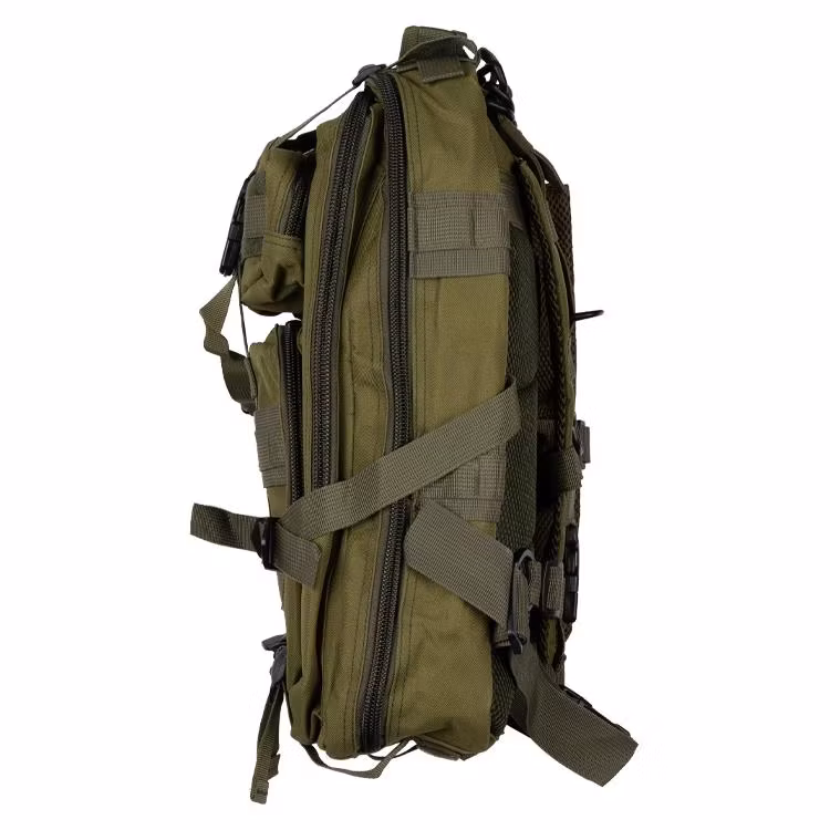DELTA SIX Molle Backpack 20L Olive