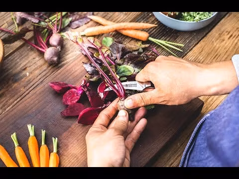Wüsthof Gourmet Tournierkniv 7 cm