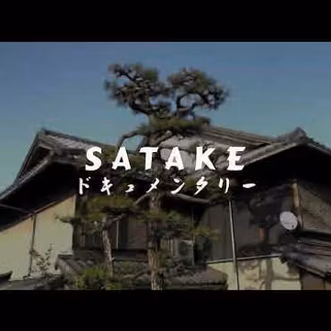 Satake Houcho Bunka 17 cm