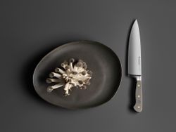 Wüsthof Classic Kockkniv Velvet Oyster 20 cm
