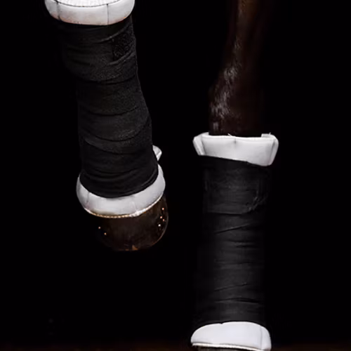 Incrediwear Circulation Standing Wrap 46 cm