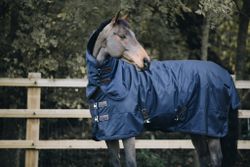Kentucky Turout Rug All Weather pro