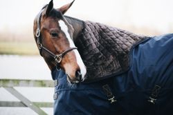 Kentucky Turout Rug All Weather pro