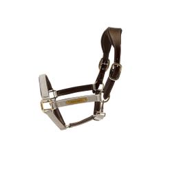 Kentucky anatomic nylongrimma